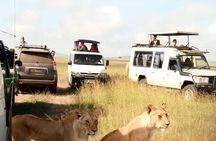 3 Day Private Wild Safari Tour in Maasai Mara 