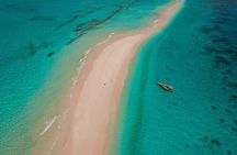 Zanzibar Half Day Trip in Mnemba Island 