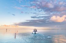 Let's Get Fishy: Fishing Activity in Qatar