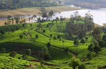 Private Multi-Day Kerala Tour