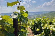 Discover Champagne in half a day in a Van