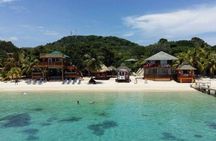 Roatan chocolate and rum company tour with optional stops 