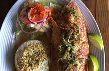 Roatan chocolate and rum company tour with optional stops 