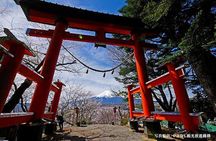 Mt.Fuji, Oishi Park & Arakurayama Sengen Park Bus Tour From Tokyo