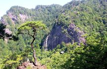Explore Holy Mt Horaiji Private Tour