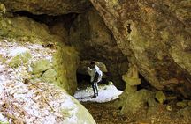Explore Holy Mt Horaiji Private Tour