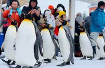 Hokkaido Winter 2-Day Tour: Icebreaker Cruise, Sounkyo & Zoo