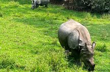 3-Day Guided Safari Tour in Chitwan National Park in Nepal