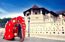 Full Day Kandy City Tour | From Colombo
