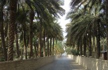 Al Ain Oasis Tour with Pickup and Drop off