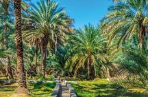 Al Ain Oasis Tour with Pickup and Drop off