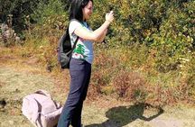 Mt. Vitosha and Boyana Waterfall Hiking Tour from Sofia