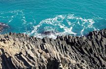 Jeju Island -Full Day Flexible Sightseeing Private (Guide tour)