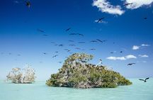 Exclusive Full Day Nature Expedition in Sian Ka'an