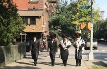 Half-Day Sightseeing Tour of Brooklyn
