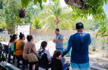 Double Atv Tour In Cozumel And Cenote Jade