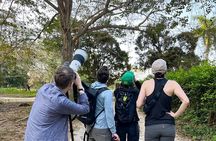 Birdwatching in a private nature reserve 