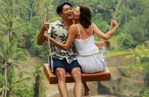 Ubud Highlight Private Charter with Jungle Swing