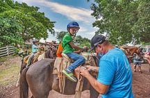 Horseback Riding Tour in Sierra Madre from Puerto Vallarta