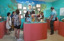 Monte Alban, Alebrijes & Black Pottery: Oaxaca Essential Day Tour