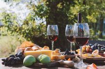 Discover Essence of Cyprus Wines: Private Tsangarides Winery Tour