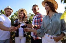 Discover Essence of Cyprus Wines: Private Tsangarides Winery Tour