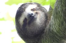 Full Day Private Bird and Nature Sightseeing Tour in Pipe Line 