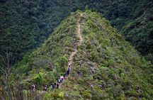 Zipline Canopy Tour