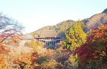 Guided Kyoto Trail Higashiyama Fushimi Inari To Kiyomizudera