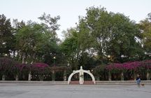 Mexico City: 19 City Highlights Bicycle Tour