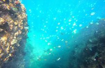 Nha Trang Boat Trip