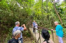 Rainforest Wildlife, Panama Hat makers, Traditional Cuisine. SHORE TOUR