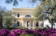 Private Savannah Driving Tour