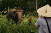 Half Day Elephant Home Sanctuary in Samui
