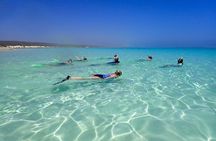 Ningaloo Reef Snorkel Adventure