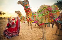 Abhaneri & Fatehpur Sikri Excursion from Jaipur 