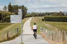 Cape Winery Cycle Tour - 6 wineries, self-guided