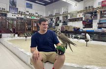 Doha, Qatar: Explore Doha City Half Day Private Guided Tour. 