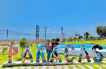 Full day Paracas - Huacachina from Lima