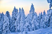1-Hour Snowmobile Safari Adventure in Rovaniemi