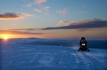 Northern Lights Snowmobile Tour