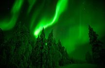 Northern Lights Snowmobile Tour