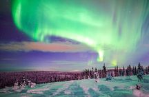 Night Snowshoeing Adventure under the Northern Lights
