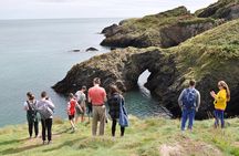 Day Tour from Dublin to Wicklow: Cliffs, Heritage, Wildlife, Gaol