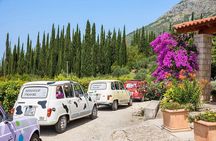 Konavle Tradition & Vines: Brajković Winery Journey