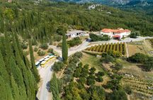 Konavle Tradition & Vines: Brajković Winery Journey