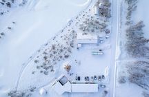 Husky Experience and Dog Sled Driving