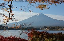 Private Tour to Mt Fuji and Hakone with English Speaking Driver