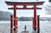 Private Tour to Mt Fuji and Hakone with English Speaking Driver