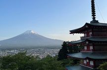 Private Tour to Mt Fuji and Hakone with English Speaking Driver